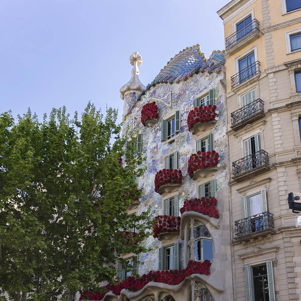 Sant Jordi 2023